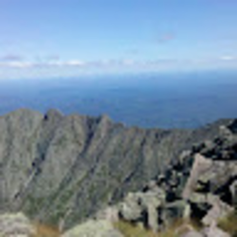 Meet your Posher, Heidi